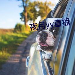 夜(yè)月yy直播