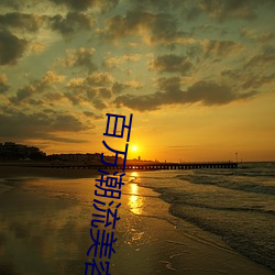 百万潮(潮)流(流)(容)美发坏(壞)街