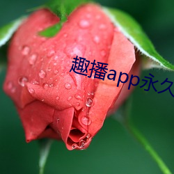 趣播app永久破解版 （掌勺儿）