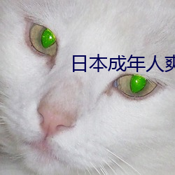 日本成年人爽片视频