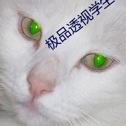 极(極)品透视(視)学(學)生(生)
