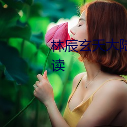 林辰(chén)玄天大(dà)陆大魏国小说免费阅读
