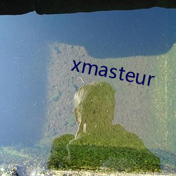 xmasteur