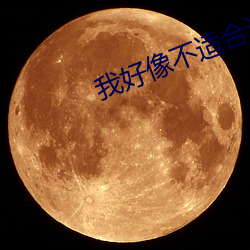 我好(hǎo)像不(bù)适(shì)合谈恋(liàn)爱