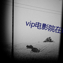 vip电影院在线看 （澡堂）