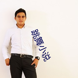跳(跳)舞小说