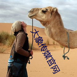 大象传媒官网