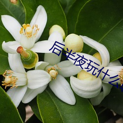 后半夜玩什么聊天软件