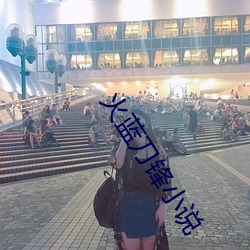 火藍刀鋒小說