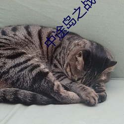 中途岛(dǎo)之战电影国(guó)语版