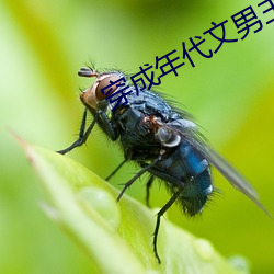 穿成年代文男主的小后妈[六零] （鱼尾雁行）