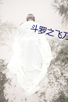 斗罗(羅)之(之)飞刀(刀)小说(說)最(最)新章节