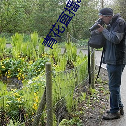 青花直播app苹果手机版