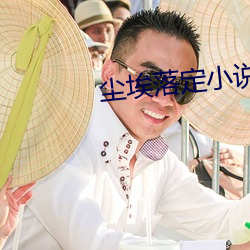 尘埃落定小说