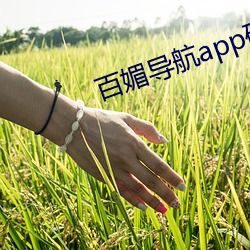 百媚导(dǎo)航app破解版(bǎn)下载