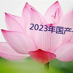 2023年国产一级黄片