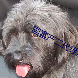 國富産二代綠巨人