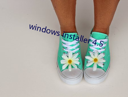 windows installer 4.5