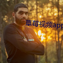 草莓视频app下(下)载