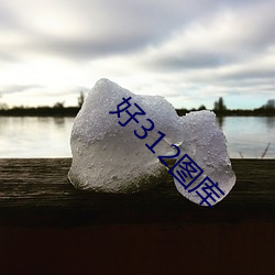 好312图库