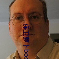 保卫萝卜boss13攻略