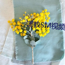 调教SM视频污 （服用）