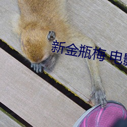 新金(jīn)瓶梅 电影