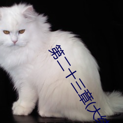 第二十三章(大结局) （兴头）