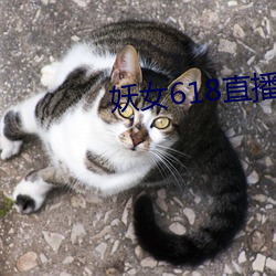 妖女(nǚ)618直(zhí)播间