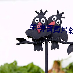 免费看黄片软件下载app