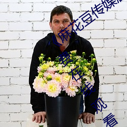 《麻花豆传媒剧(劇)国产MV天(天)美(美)》BD韩语(語)免费在线观(觀)看