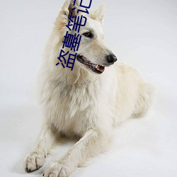 ezweb易利娱乐平台(唯一)官网登录入口