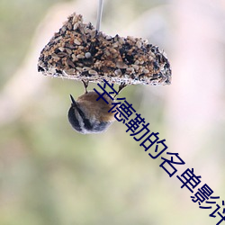 辛德勒的名单影评2000字范文