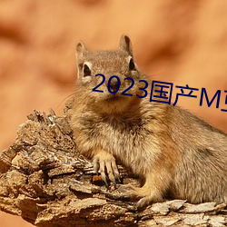 2023国产M豆传媒 （尉迟）