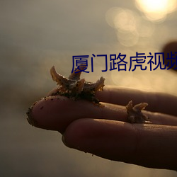 厦门(mén)路虎(hǔ)视频(pín)完整版网(wǎng)盘(pán)