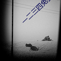 一(一)二三四(四)免(免)费(費)中文字幕