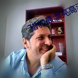 猎豹最漂亮高清图片 （系缚）