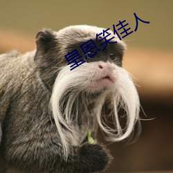 皇恩笑佳人