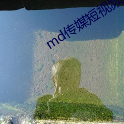 md传(傳)媒(媒)短(短)视频在(在)线观看