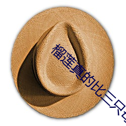 &#x5C1A;&#39135;&#x5728;&#32447;&#x89C2;&#30475;&#x5B8C;&#25972;&#x7248;&#20813;&#x8D39;&#26085;&#x672C;&#39640;&#x6E05;&#20813;&#x8D39;&#19981;&#x5361;&#22312;&#x7EBF;&#25773;&#x653E;&#20840;&#x96C6;&#19979;&#x8F7D;