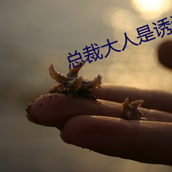 总(總)裁大人是诱(誘)受
