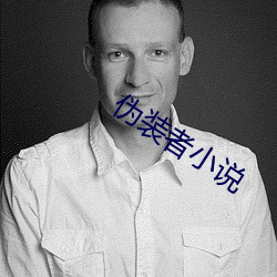 伪装(zhuāng)者小说