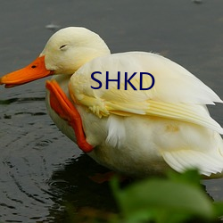 SHKD