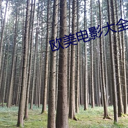 欧(歐)美电(電)影(影)大(大)全