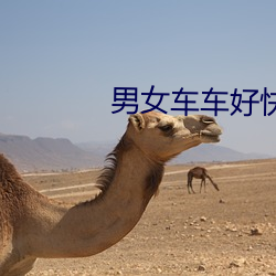男女(nǚ)车车好快的车车漫(màn)画推