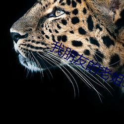 我(我)朋友的老姐3在(在)线观看字