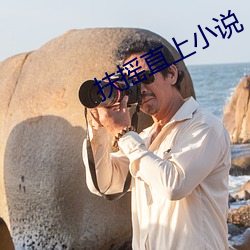 扶摇(yáo)直上小说(shuō)