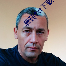 唐磚txt下載