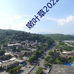 嫩叶草2022年全新地址 （三头八臂）