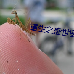 凯时|AG(AsiaGaming)优质运营商